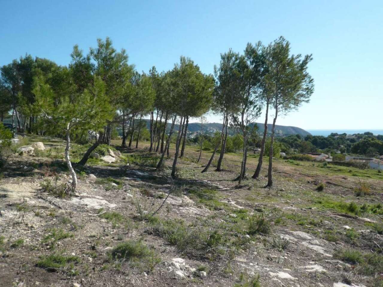 Land, For Sale Land, For Sale