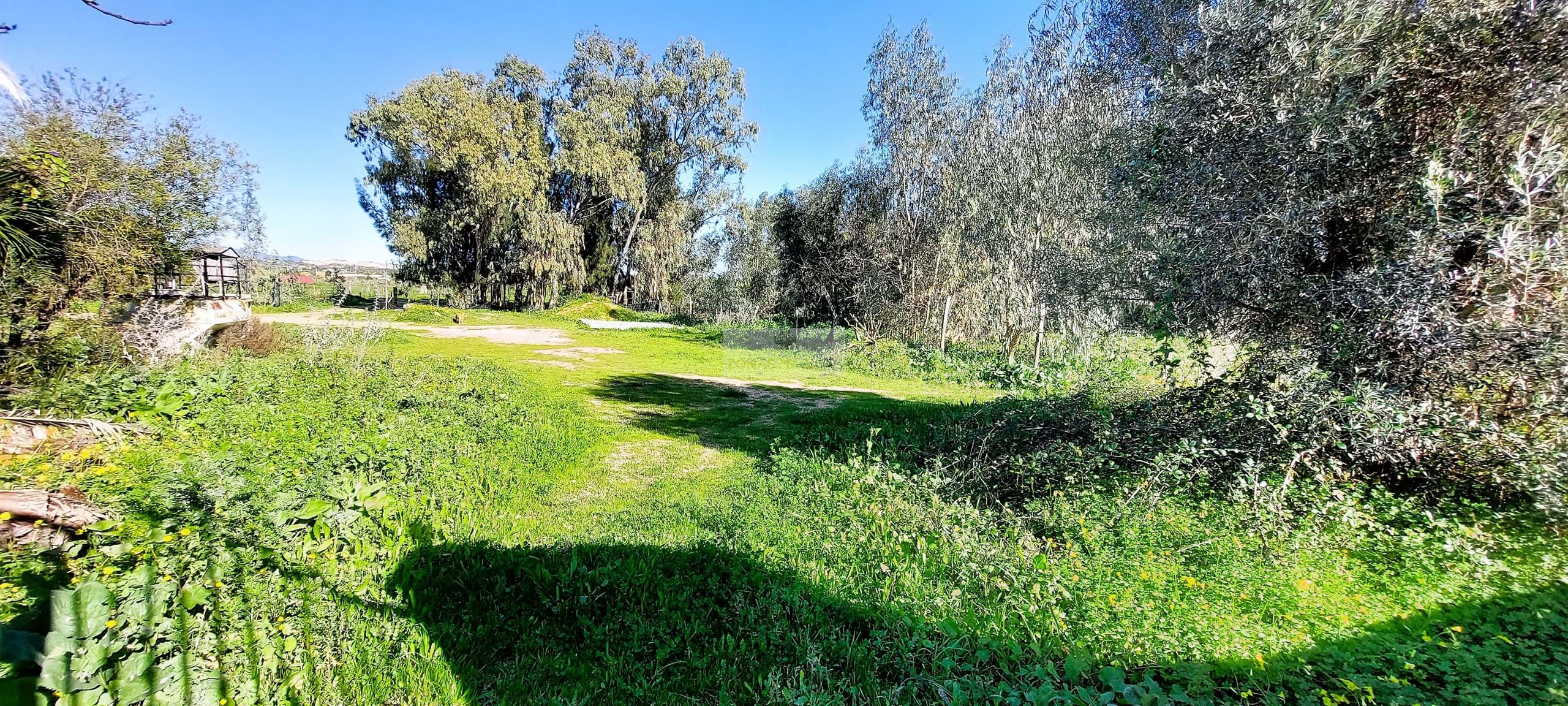 4 Bed, 3 Bath, HouseFor Sale, Lagos, Faro, 8600-250