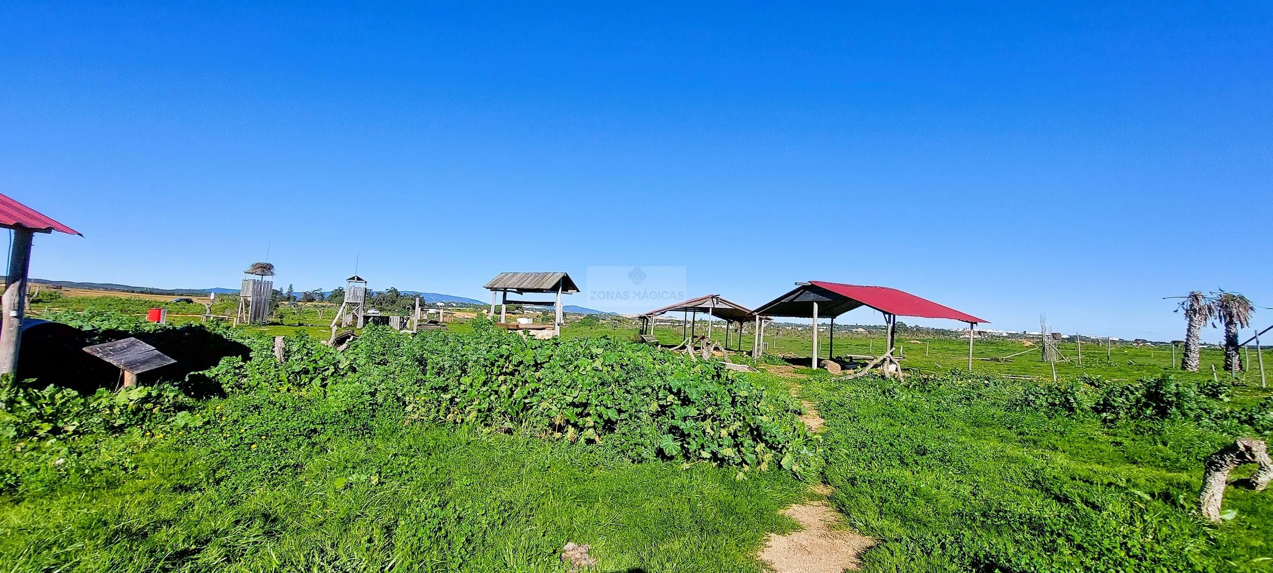 4 Bed, 3 Bath, HouseFor Sale, Lagos, Faro, 8600-250