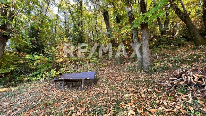 2 Bed, HouseFor Sale, Anilio, Mouresi, Magnesia