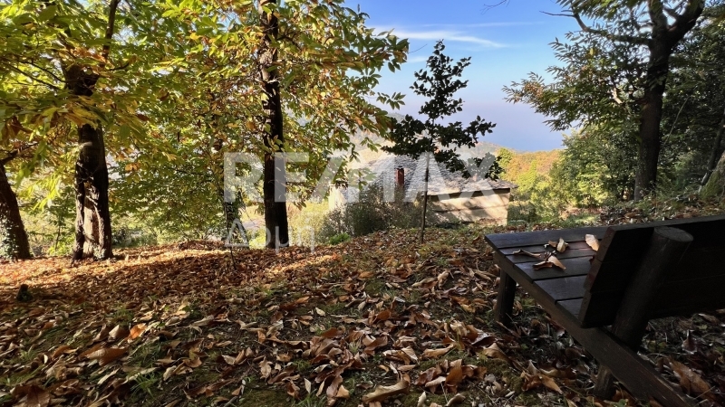 2 Bed, HouseFor Sale, Anilio, Mouresi, Magnesia