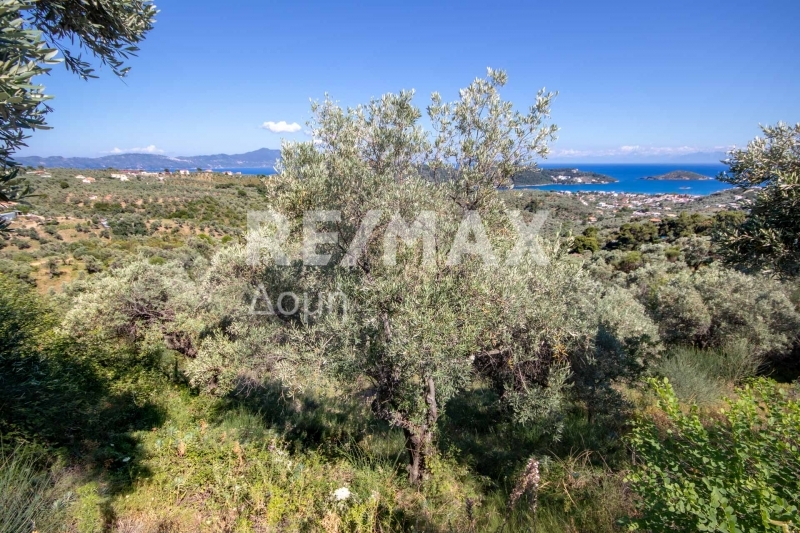 HouseFor Sale, Main town - Chora, Skiathos, Sporades