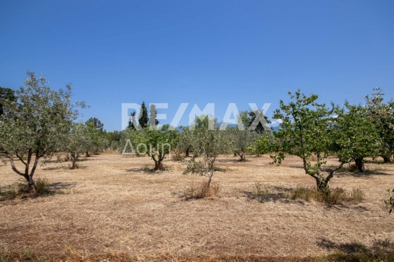 HouseFor Sale, Nees Pagases, Volos, Magnesia