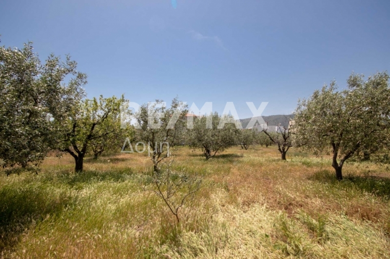 HouseFor Sale, Nees Pagases, Volos, Magnesia