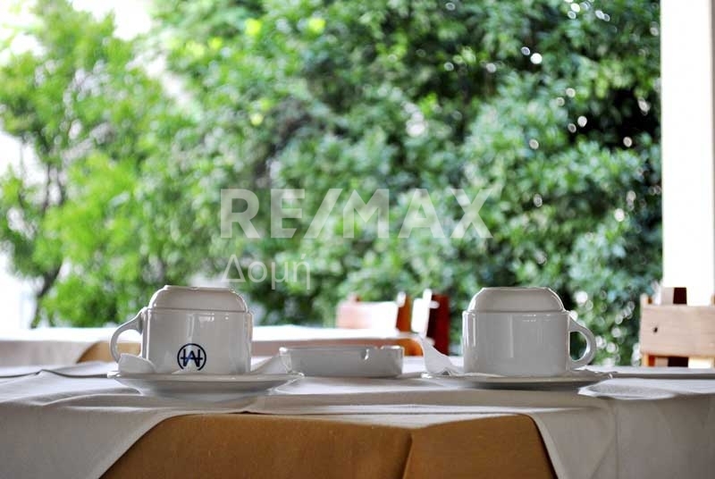 HouseFor Sale, Agios ioannis, Mouresi, Magnesia