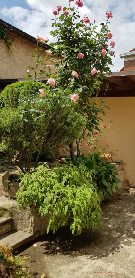 7 Bed, HouseFor Sale, Torino, Torino, Piemonte 7 Bed, HouseFor Sale, Torino, Torino, Piemonte