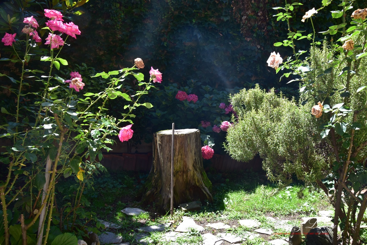 7 Bed, HouseFor Sale, Torino, Torino, Piemonte 7 Bed, HouseFor Sale, Torino, Torino, Piemonte