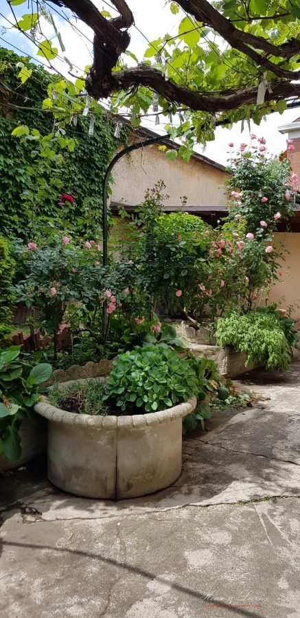 7 Bed, HouseFor Sale, Torino, Torino, Piemonte 7 Bed, HouseFor Sale, Torino, Torino, Piemonte
