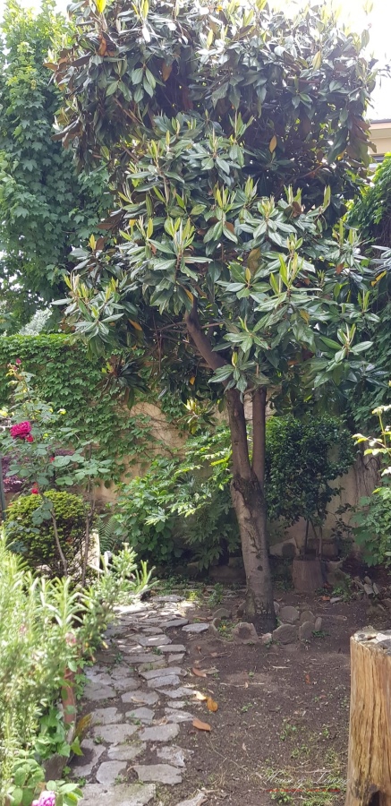 7 Bed, HouseFor Sale, Torino, Torino, Piemonte 7 Bed, HouseFor Sale, Torino, Torino, Piemonte