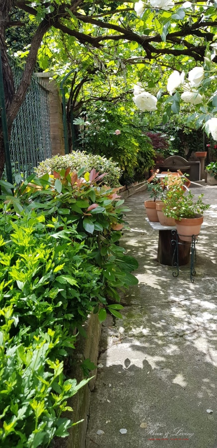 7 Bed, HouseFor Sale, Torino, Torino, Piemonte 7 Bed, HouseFor Sale, Torino, Torino, Piemonte