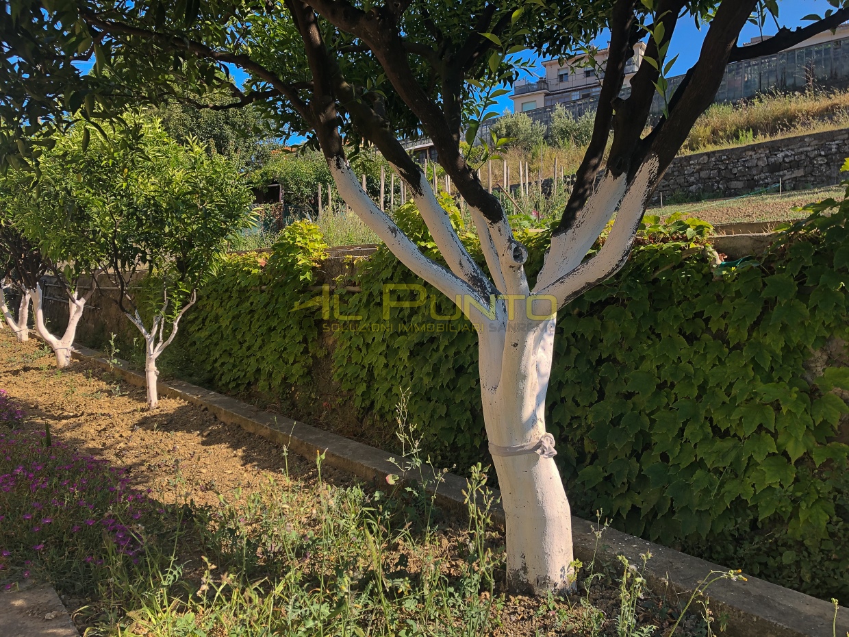 3 Bed, ApartmentFor Sale, Imperia, Liguria