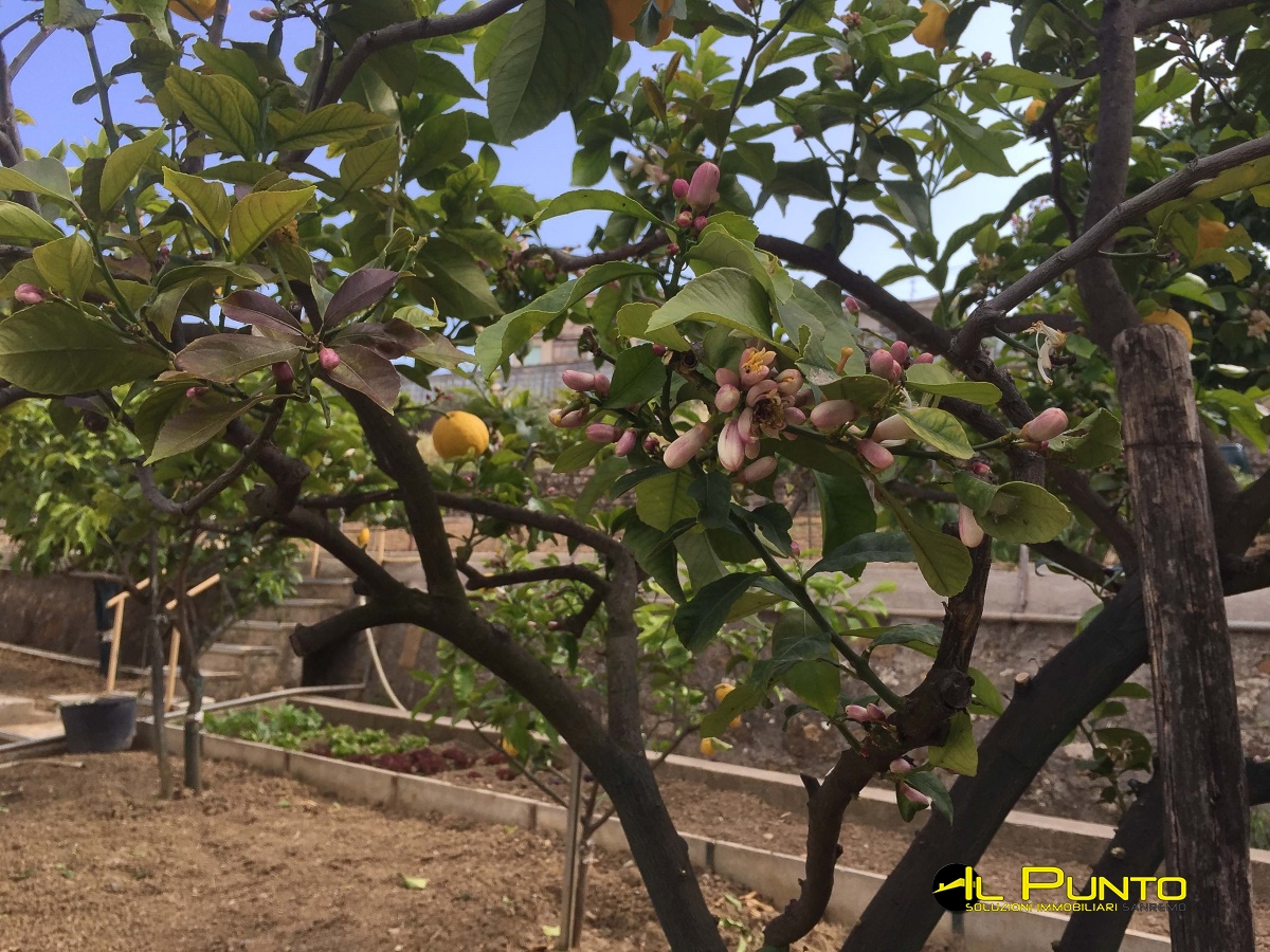 3 Bed, ApartmentFor Sale, Imperia, Liguria