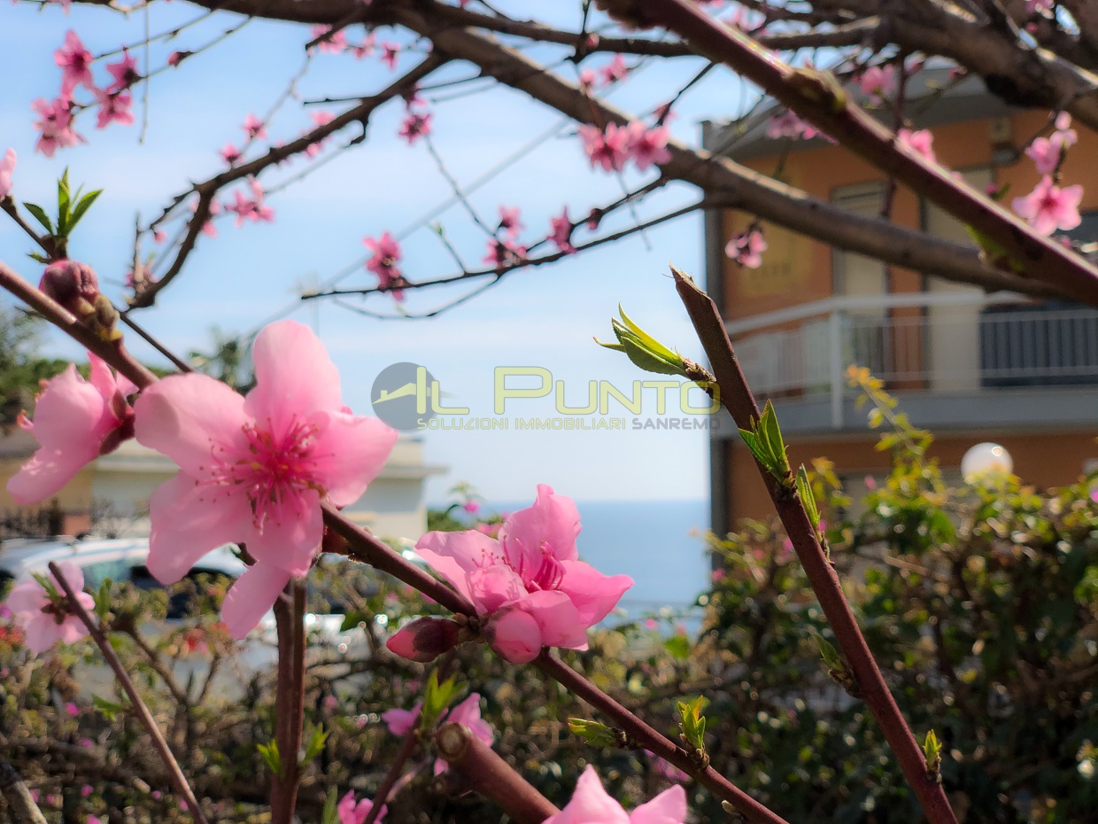 2 Bed, HouseFor Sale, Imperia, Liguria