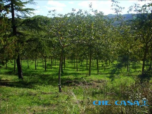 5 Bed, HouseFor Sale, Rimini, Emilia-Romagna