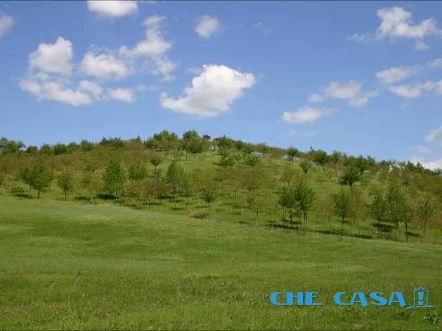 5 Bed, HouseFor Sale, Rimini, Emilia-Romagna