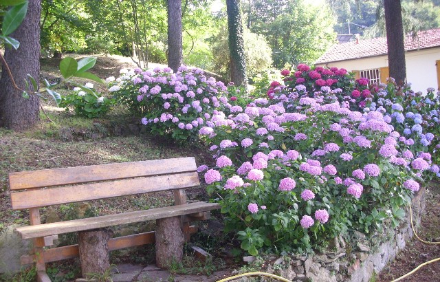 4 Bed, HouseFor Sale, Fosdinovo, Toscana