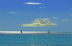 Commercial Property, For Sale Commercial Property, For Sale