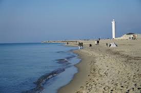 Commercial Property, For Sale Commercial Property, For Sale