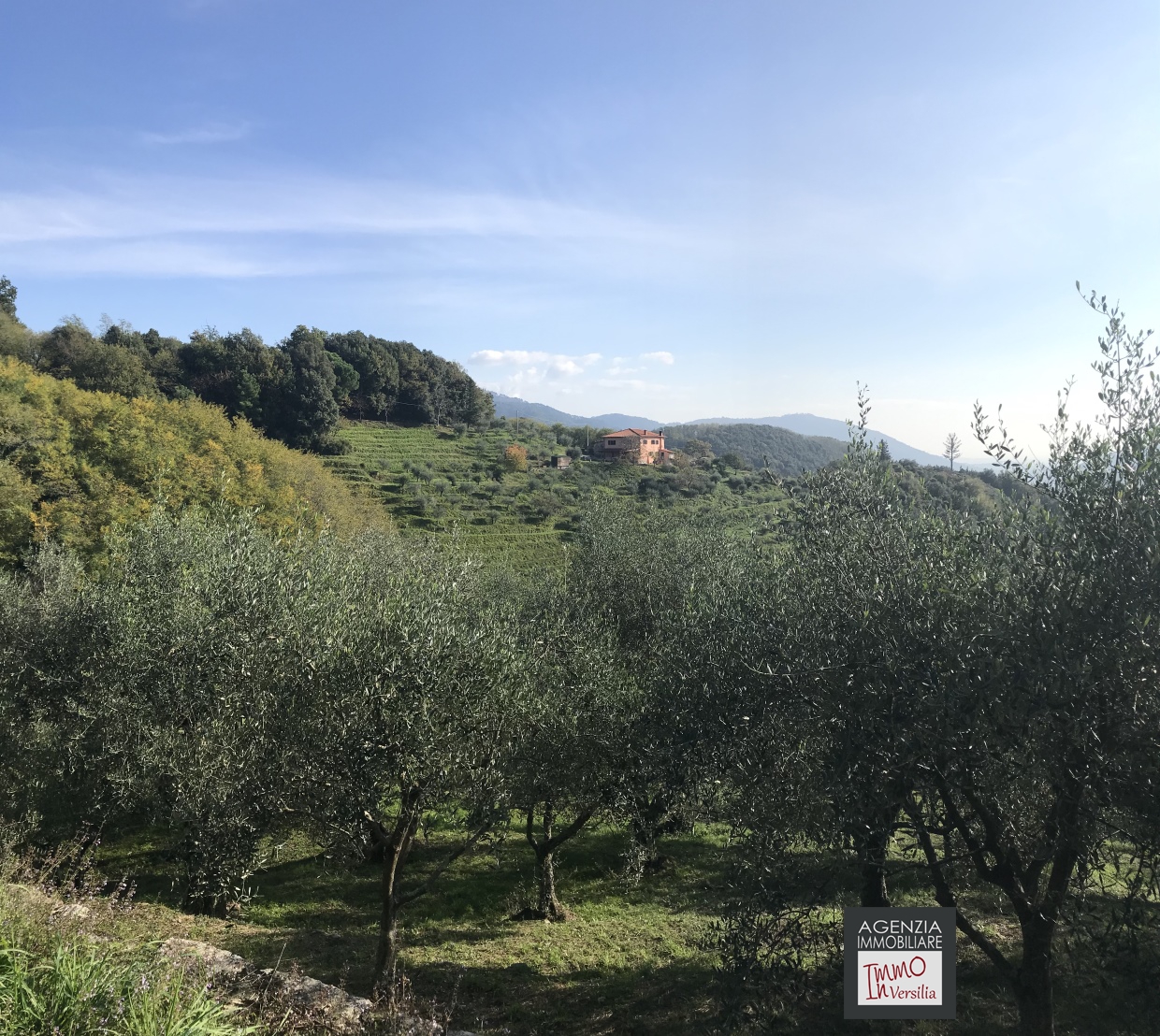 6 Bed, HouseFor Sale, Lucca, Toscana