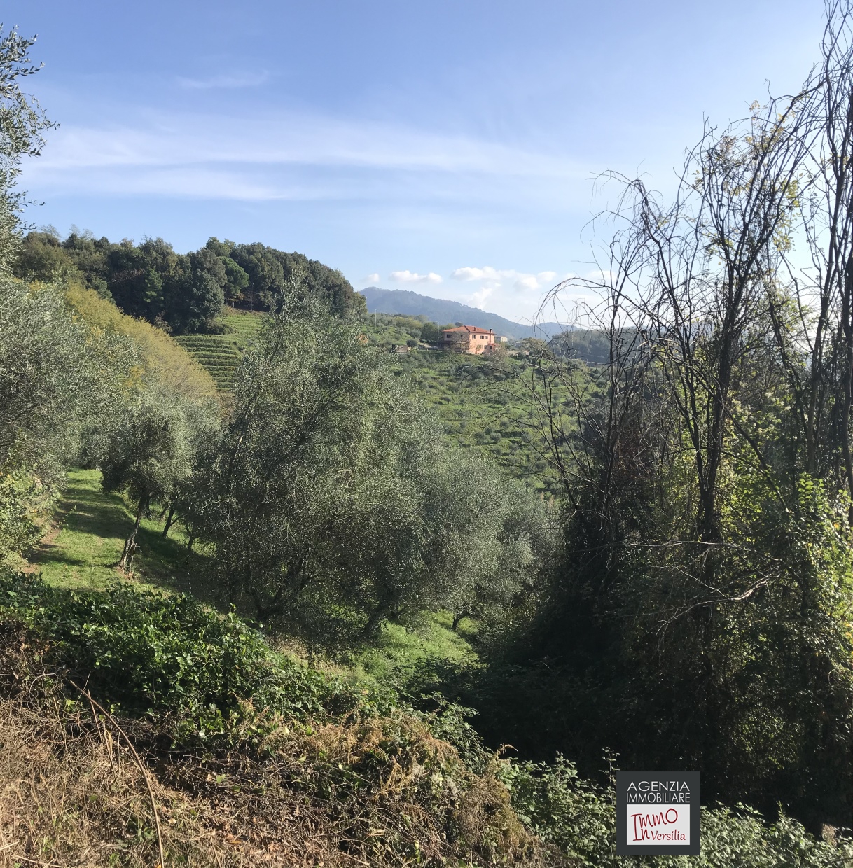6 Bed, HouseFor Sale, Lucca, Toscana
