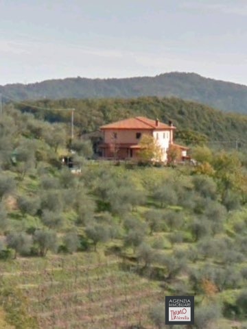 6 Bed, HouseFor Sale, Lucca, Toscana