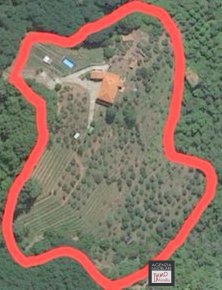 6 Bed, HouseFor Sale, Lucca, Toscana