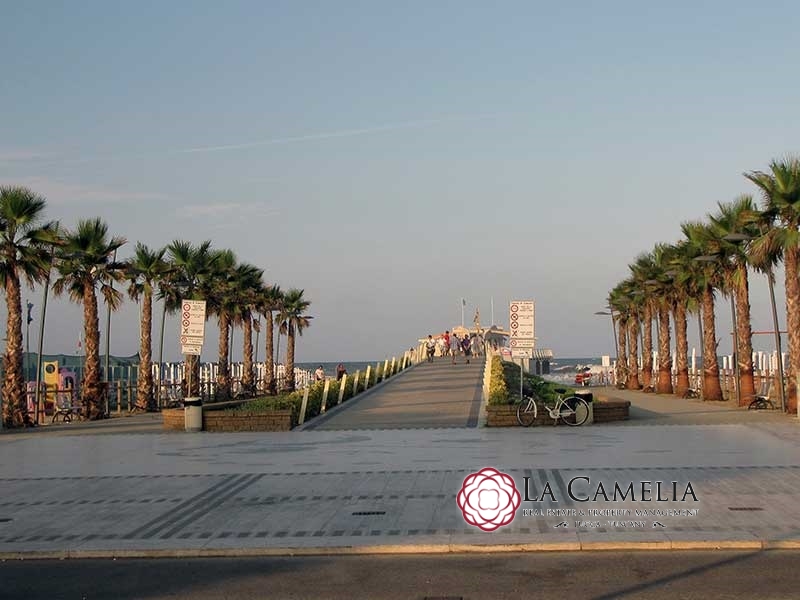 Commercial Property, For Sale Commercial Property, For Sale