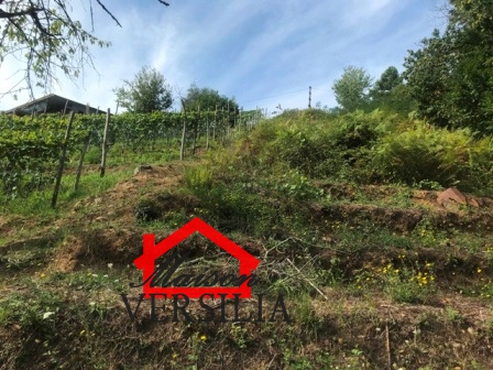 2 Bed, HouseFor Sale, Toscana