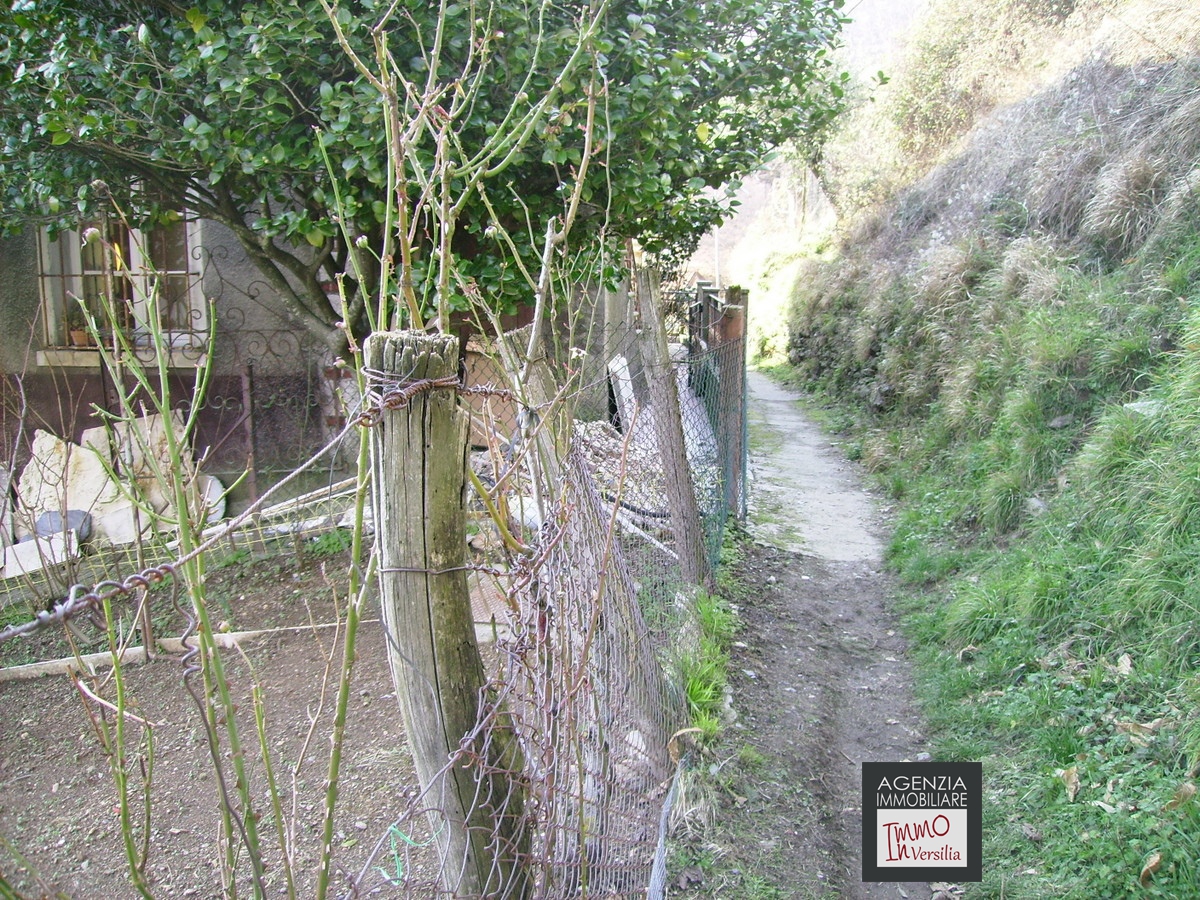 4 Bed, HouseFor Sale, Lucca, Toscana