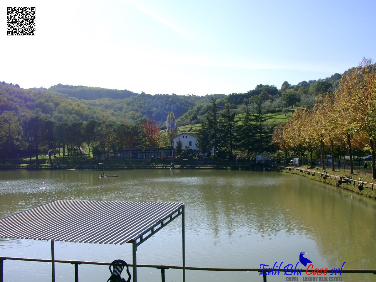 Commercial Property, For Sale Commercial Property, For Sale