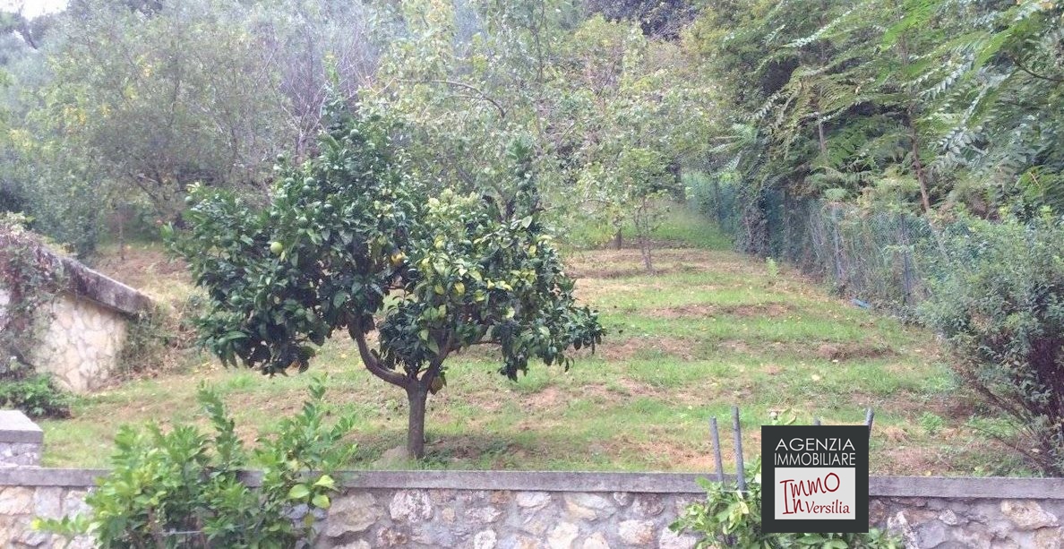 3 Bed, HouseFor Sale, Camaiore, Lucca, Toscana