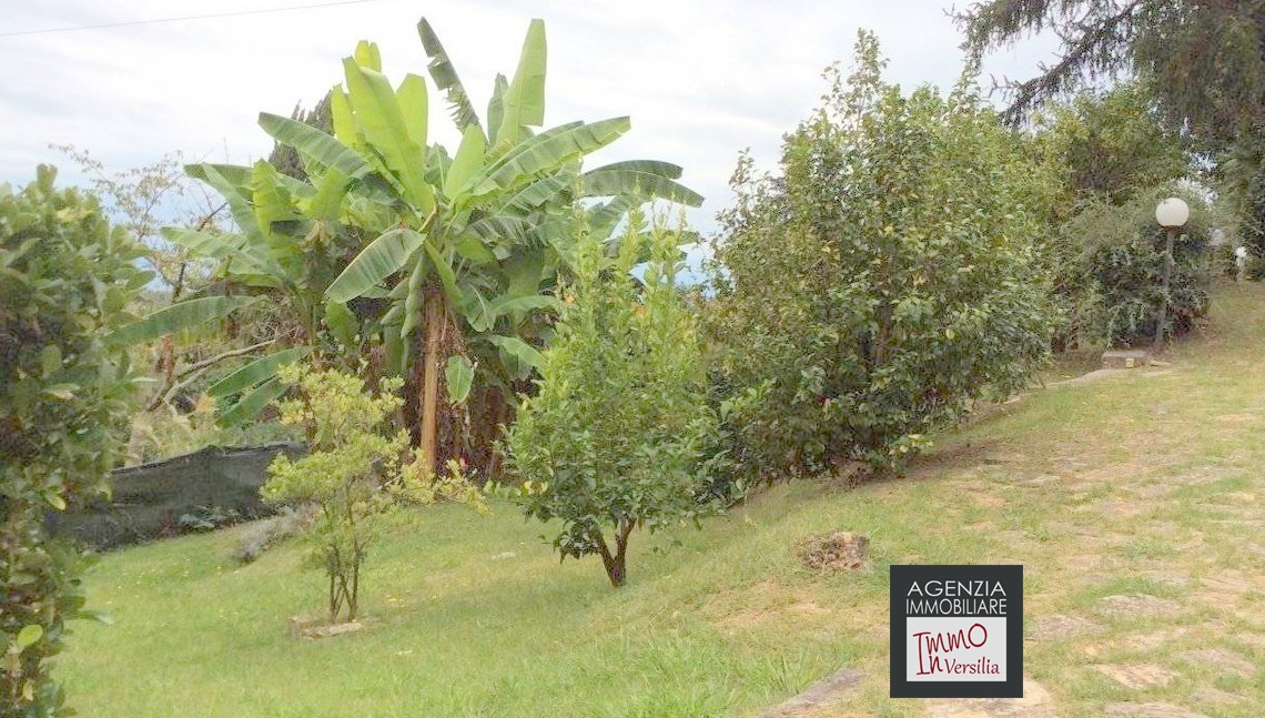 3 Bed, HouseFor Sale, Camaiore, Lucca, Toscana