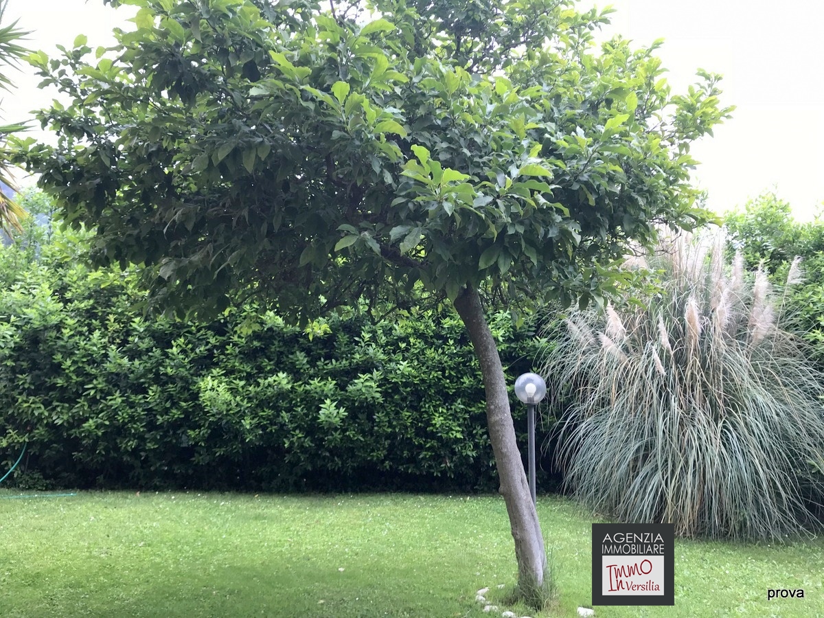 3 Bed, HouseFor Sale, Lucca, Toscana