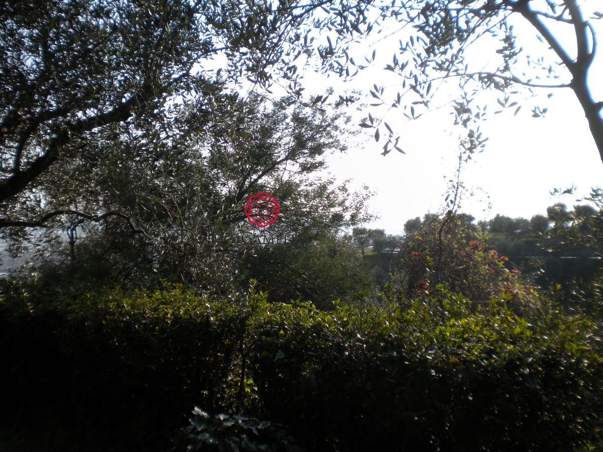 3 Bed, HouseFor Sale, Lucca, Toscana