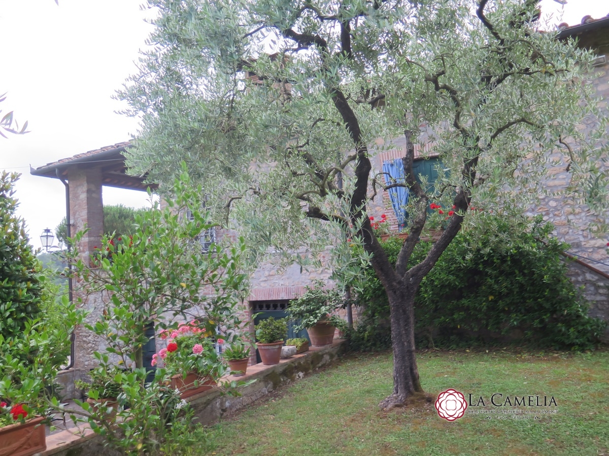 5 Bed, HouseFor Sale, Lucca, Lucca, Toscana