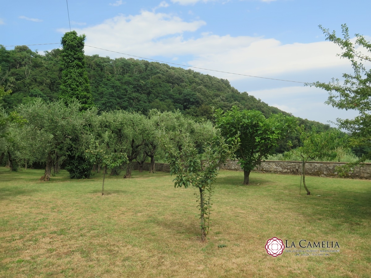 5 Bed, HouseFor Sale, Lucca, Lucca, Toscana