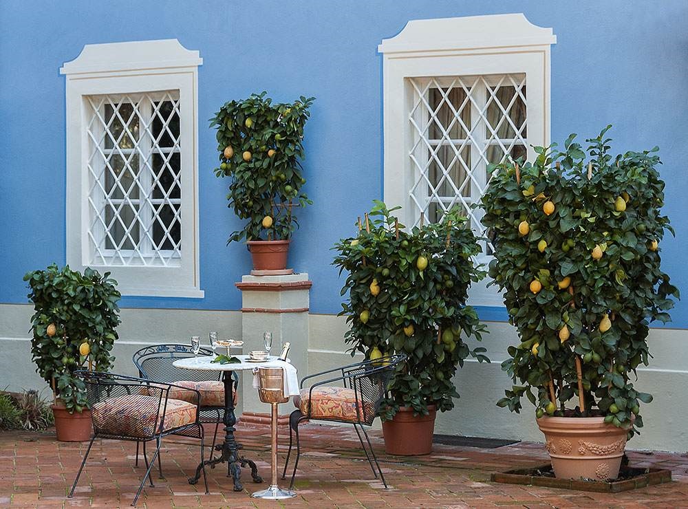 10 Bed, HouseFor Sale, Lucca, Lucca, Toscana