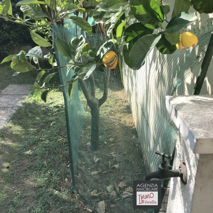 2 Bed, ApartmentFor Sale, Lucca, Toscana