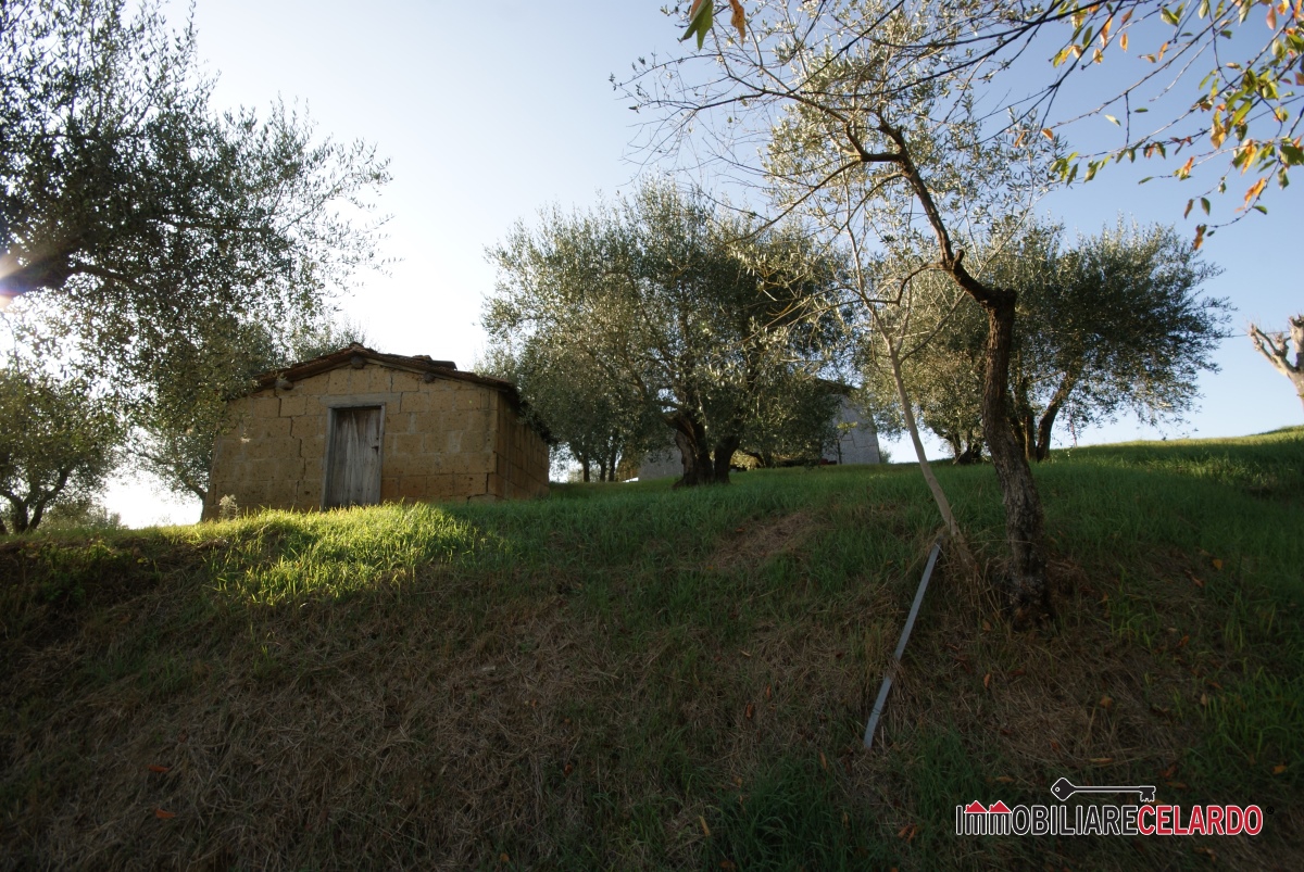 7 Bed, HouseFor Sale, Siena, Toscana