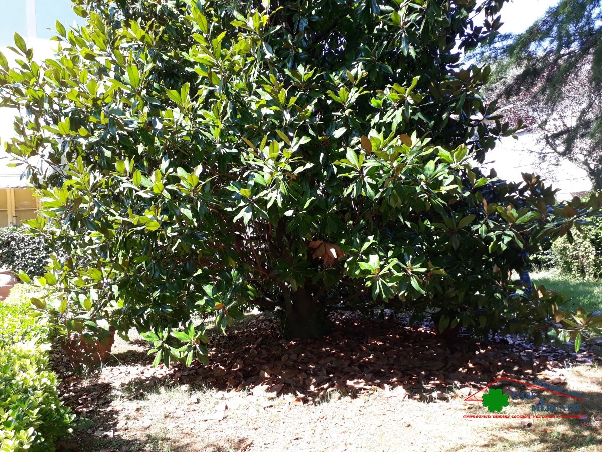 4 Bed, HouseFor Sale, Lucca, Toscana