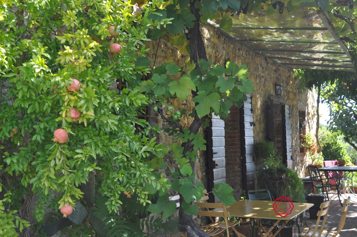 3 Bed, HouseFor Sale, Lucca, Toscana