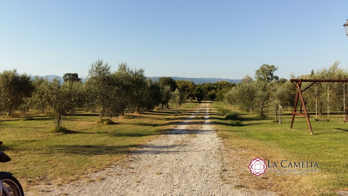 6 Bed, HouseFor Sale, Altopascio, Lucca, Toscana