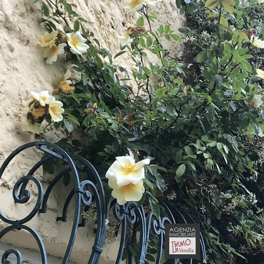 4 Bed, HouseFor Sale, Massarosa, Lucca, Toscana