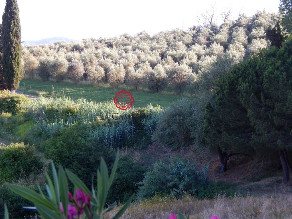 10 Bed, HouseFor Sale, Capannoli, Pisa, Toscana 10 Bed, HouseFor Sale, Capannoli, Pisa, Toscana
