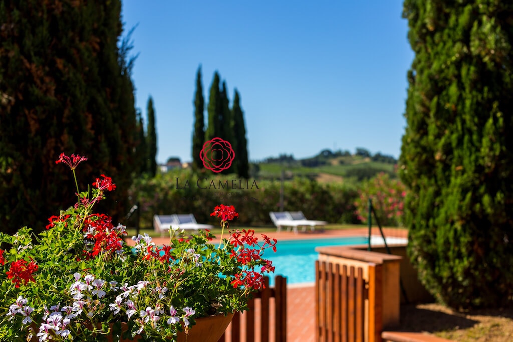 10 Bed, HouseFor Sale, Capannoli, Pisa, Toscana 10 Bed, HouseFor Sale, Capannoli, Pisa, Toscana