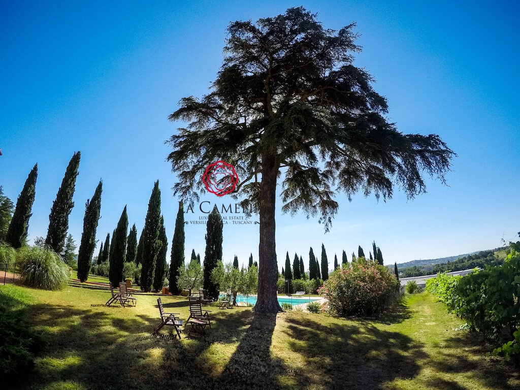 10 Bed, HouseFor Sale, Capannoli, Pisa, Toscana 10 Bed, HouseFor Sale, Capannoli, Pisa, Toscana