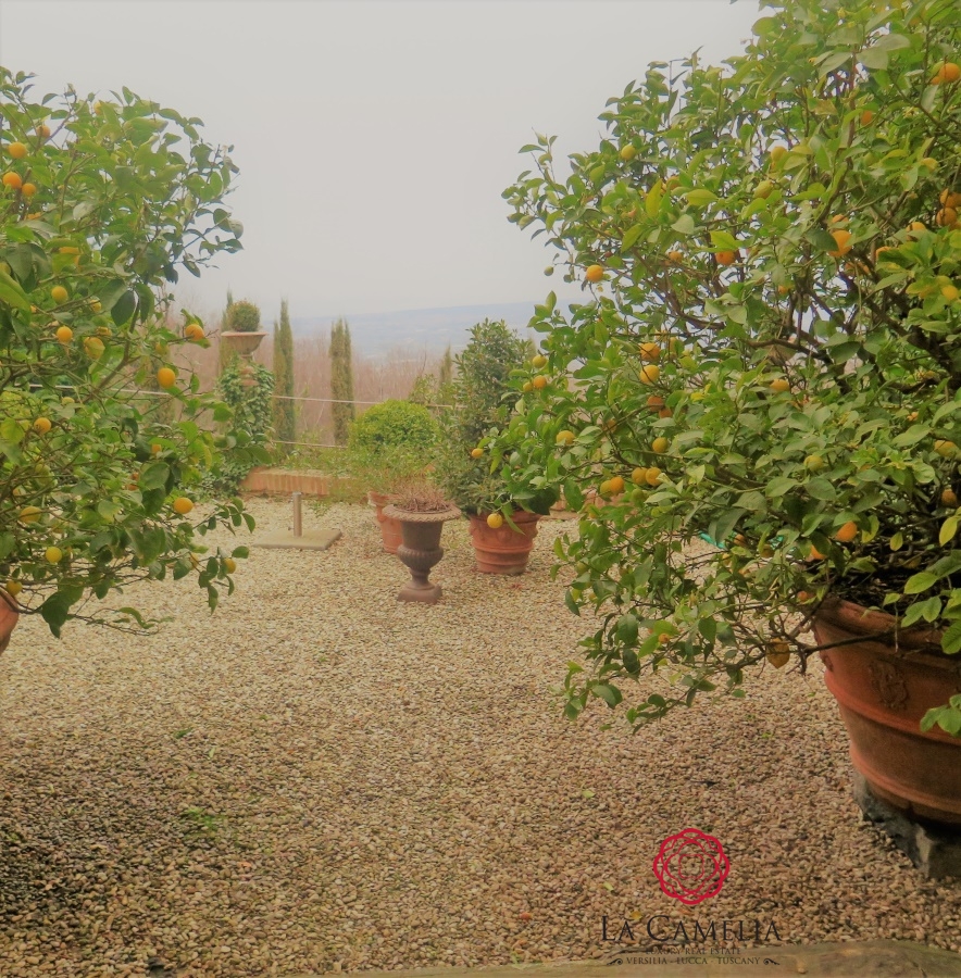 6 Bed, HouseFor Sale, Camaiore, Lucca, Toscana 6 Bed, HouseFor Sale, Camaiore, Lucca, Toscana