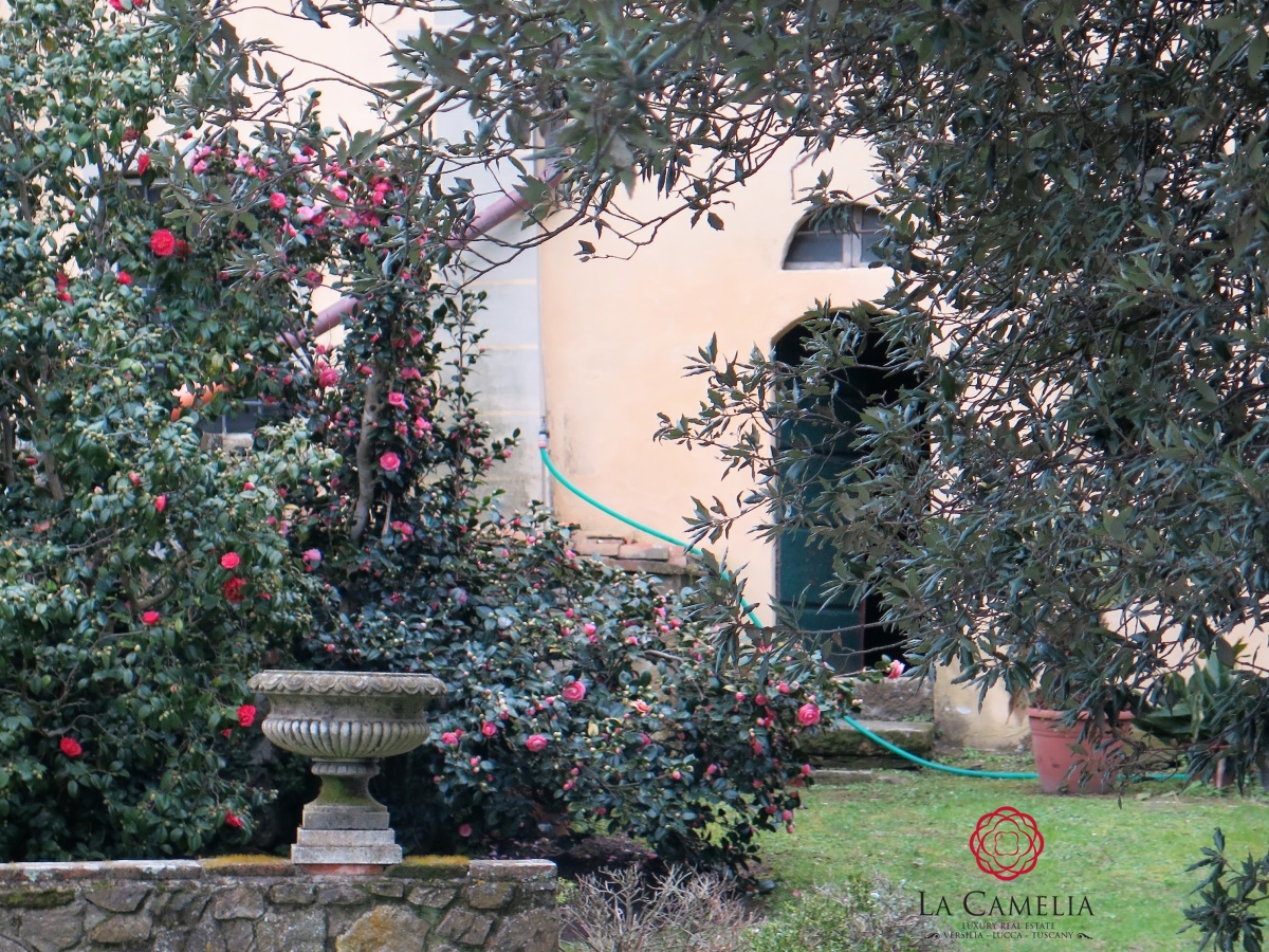 6 Bed, HouseFor Sale, Camaiore, Lucca, Toscana 6 Bed, HouseFor Sale, Camaiore, Lucca, Toscana