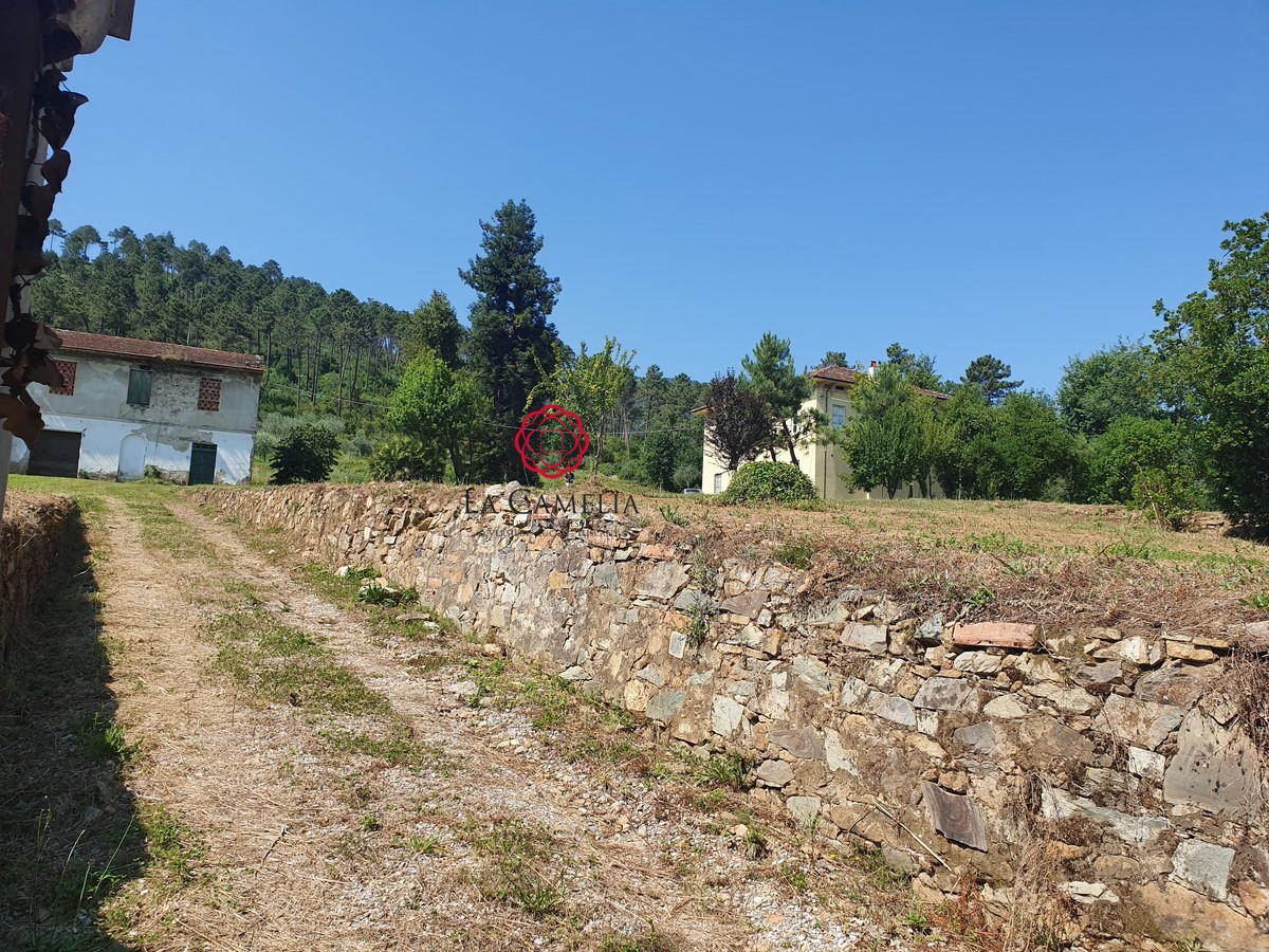 5 Bed, HouseFor Sale, Capannori, Lucca, Toscana 5 Bed, HouseFor Sale, Capannori, Lucca, Toscana