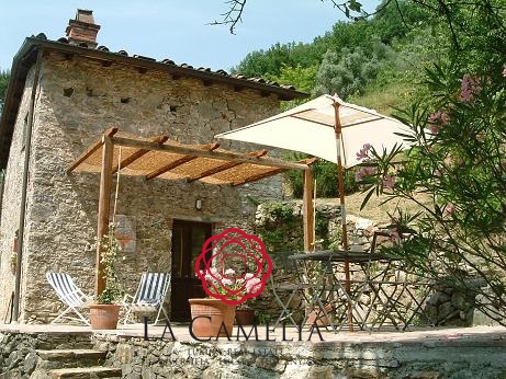 8 Bed, HouseFor Sale, Pescaglia, Lucca, Toscana 8 Bed, HouseFor Sale, Pescaglia, Lucca, Toscana